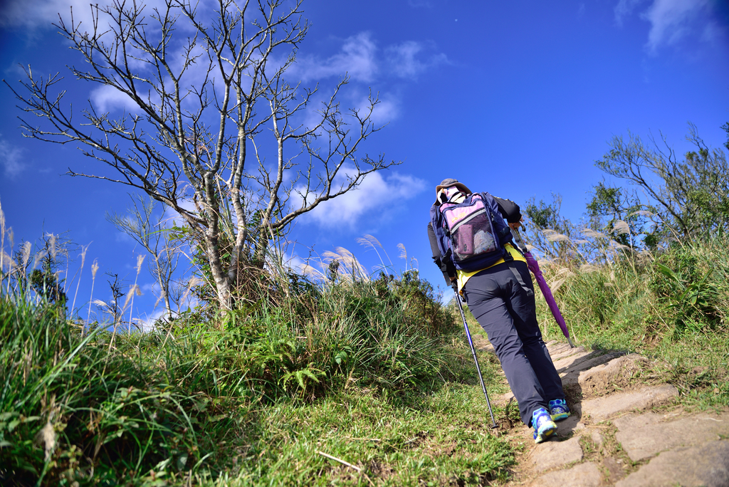 DSC_3430_723.JPG - 2017風櫃嘴登竹篙山