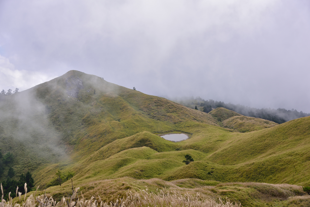 DSC_1816_5571.JPG - 2019能安縱走(下)