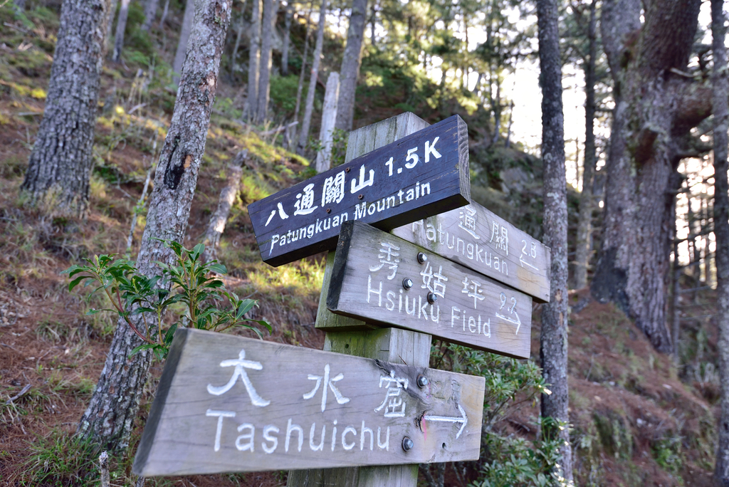DSC_5015_7072.JPG - 南二段D7~8