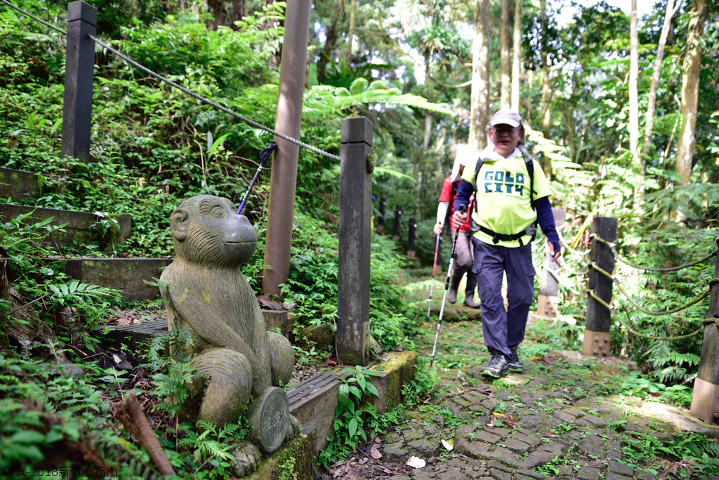 DSC_6592_2705.JPG - 2018新竹五指山