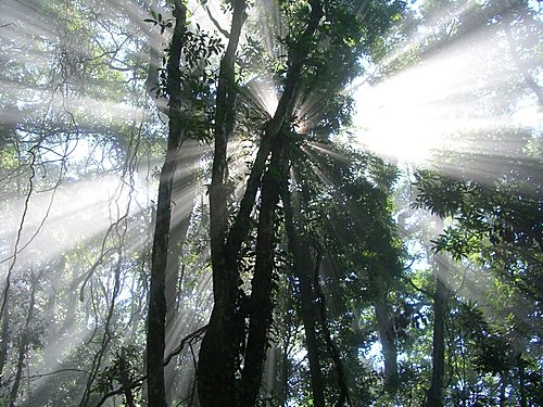 2007/11/10白蘭登鳥嘴山連走鵝公髻山
