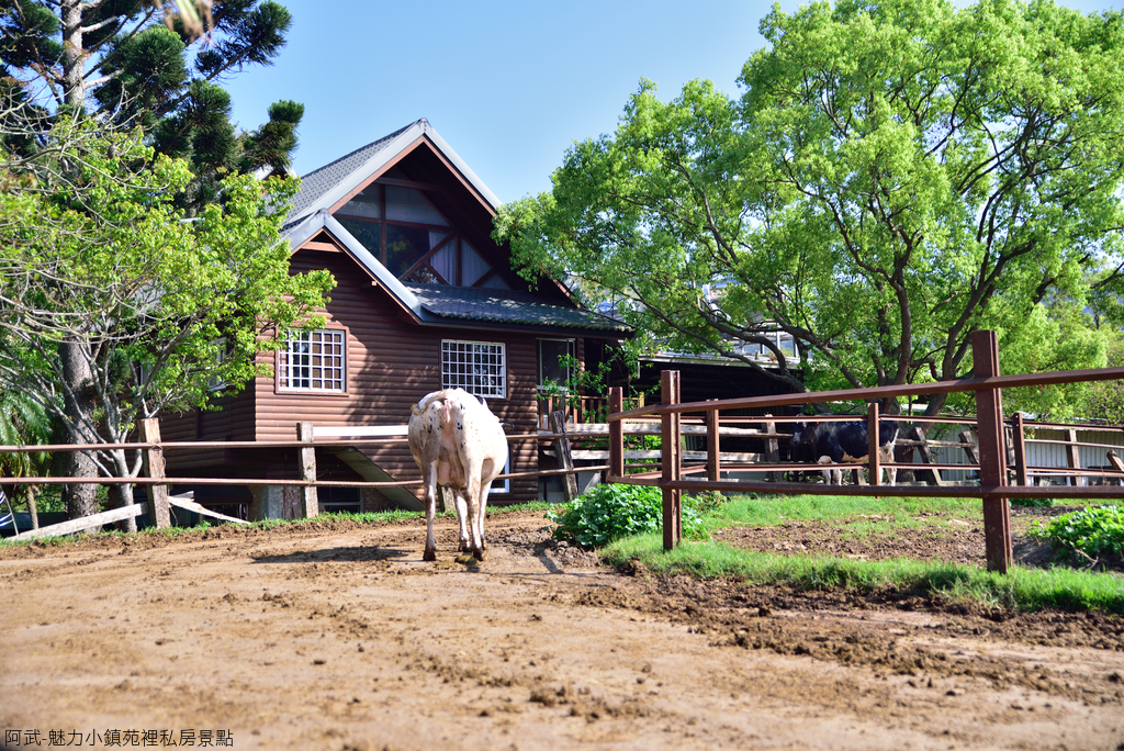 DSC_5114_1669.JPG - 魅力小鎮苑裡私房景點