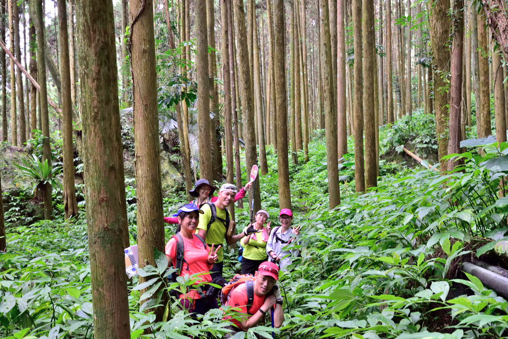 DSC_0797_4843.JPG - 20190720登向天湖山