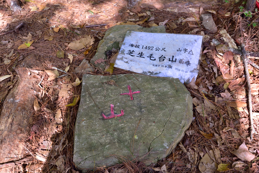 DSC_5803_7773.JPG - 20210124芝生毛台山