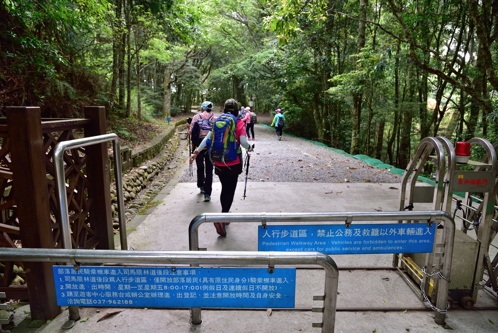 DSC_3354_6284.JPG - 0501北坑山大板根