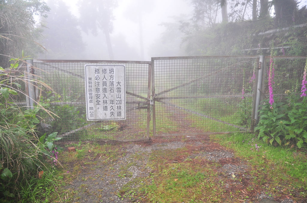 DSC_2476.JPG - 2017雪山西稜