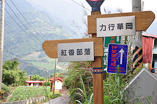 三百里路會白姑【白狗大山二日遊】