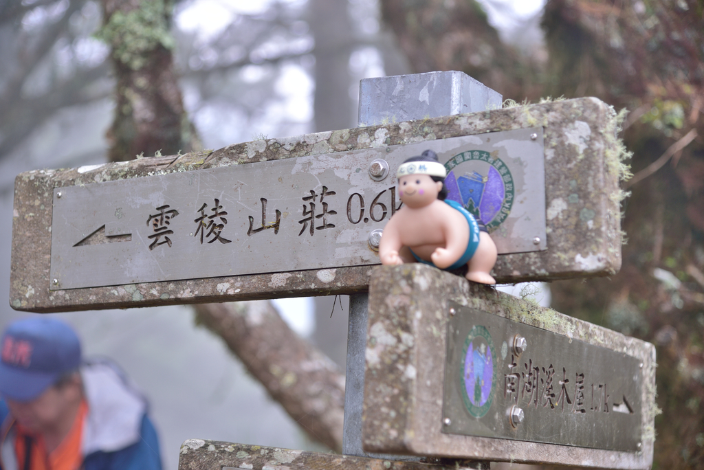 DSC_8925_3818.JPG - 2019南湖群峰