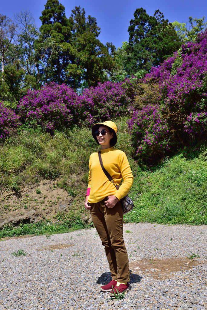 DSC_2766_6026.JPG - 0315三民蝙蝠洞登金平山