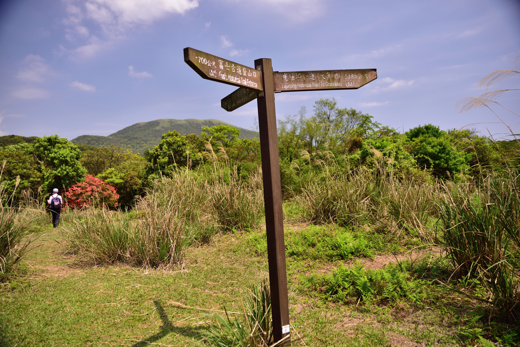 DSC_5343_1806.JPG - 2018鹿崛坪古道+情人湖