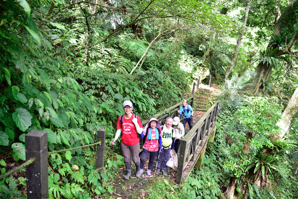 DSC_6630_2724.JPG - 2018新竹五指山