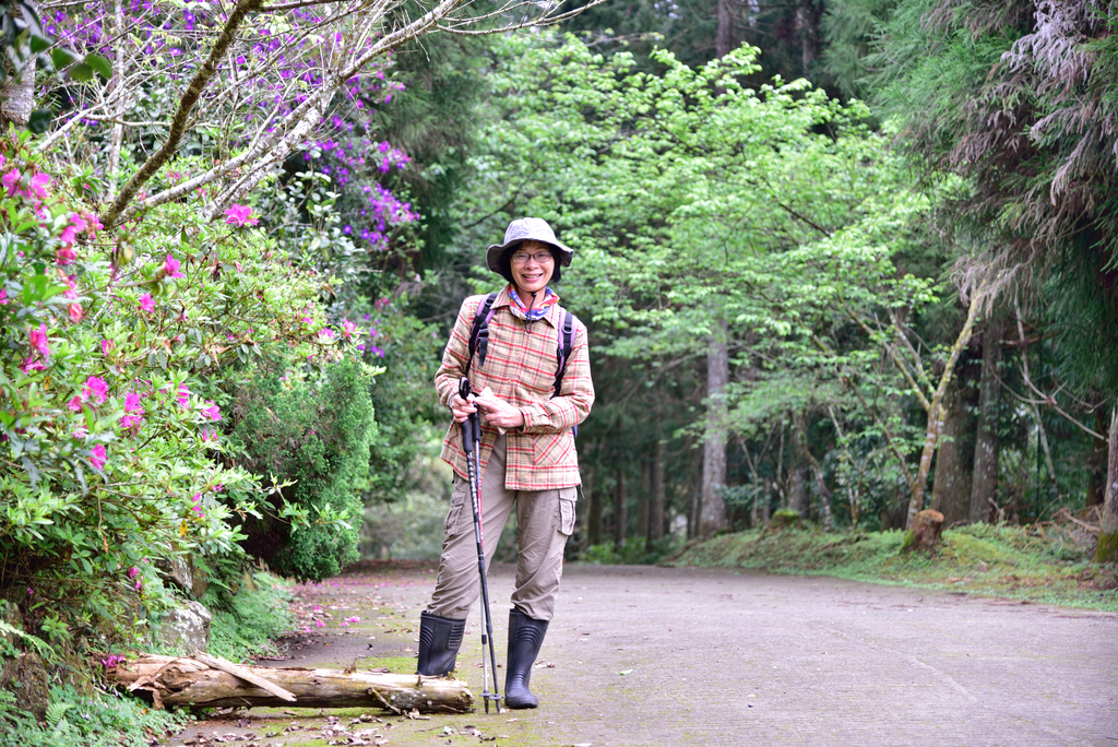 DSC_8002_3359.JPG - 2019向天湖山