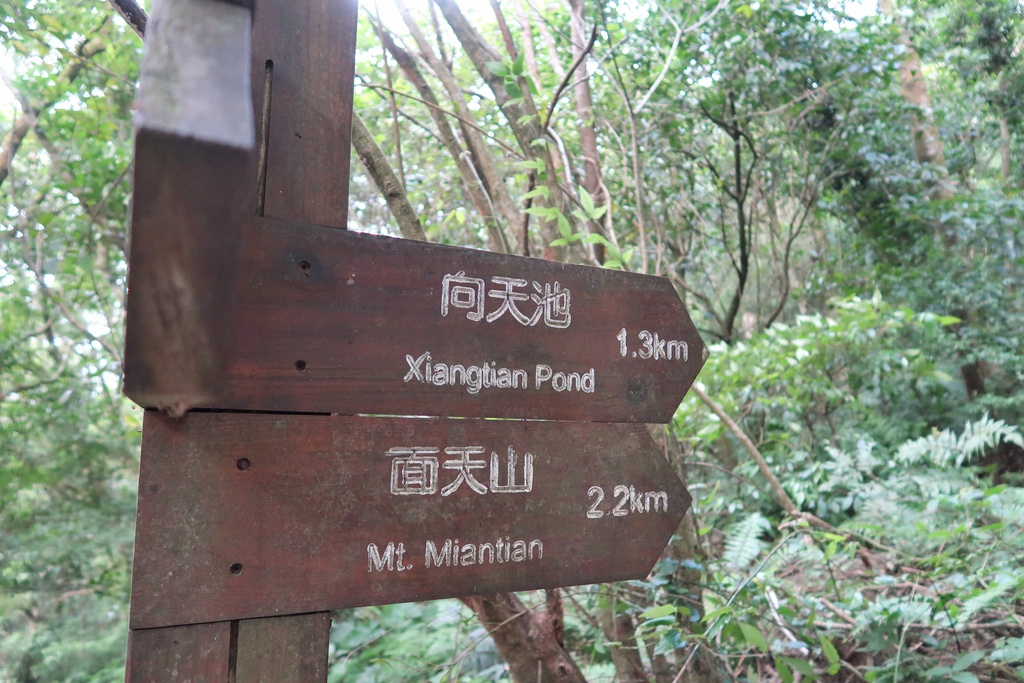 IMG_0017_218.JPG - 20171111陽明山大縱走Part 1