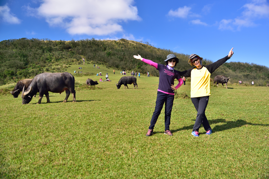 DSC_3389_707.JPG - 2017風櫃嘴登竹篙山