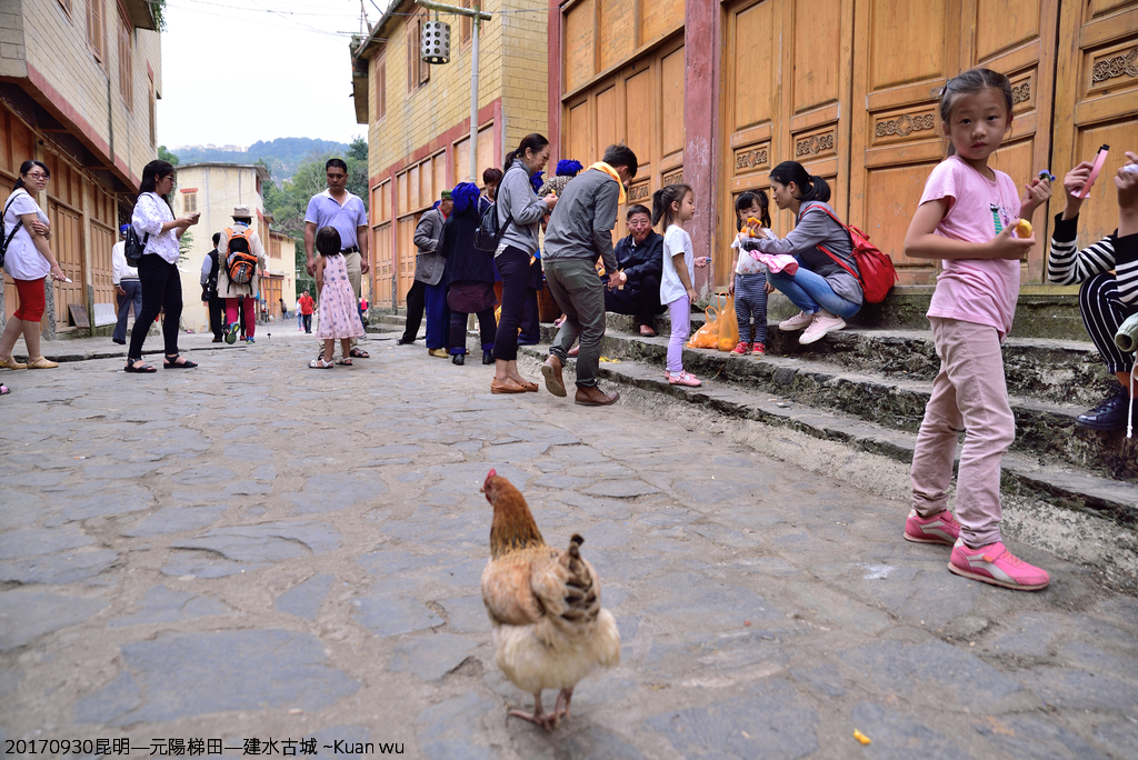 DSC_2095.JPG - 2017昆明—元陽—建水