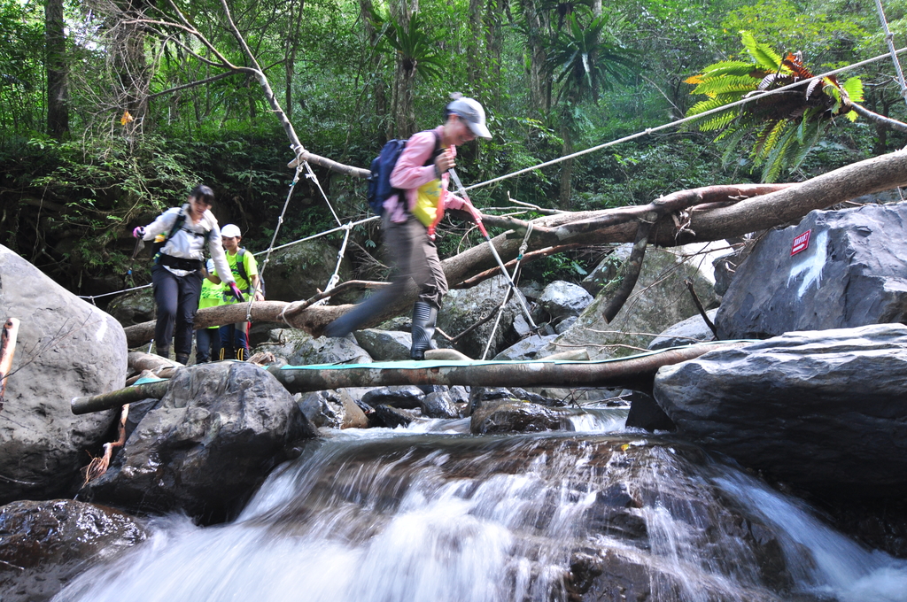 image.jpeg - 21051107卡保逐鹿賞山毛櫸
