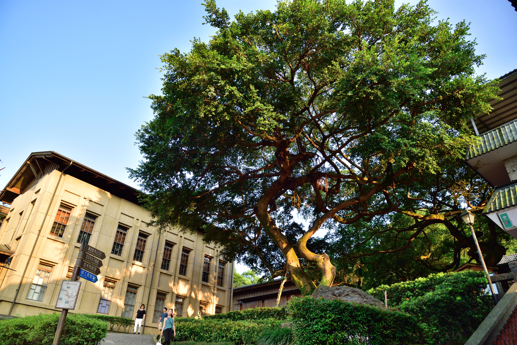 DSC_0431_4693.JPG - 20190629經典九份