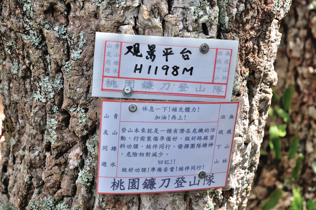 DSC_4137_068.JPG - 2017虎山