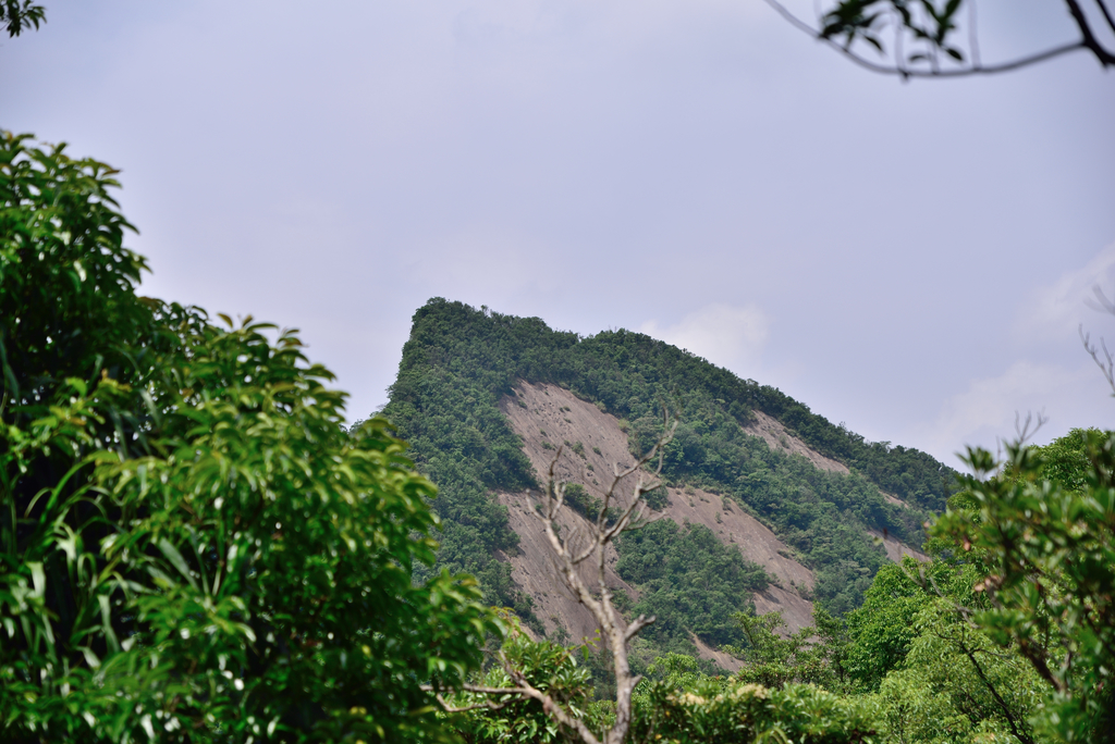 DSC_6286_2474.JPG - 2018平溪孝子山
