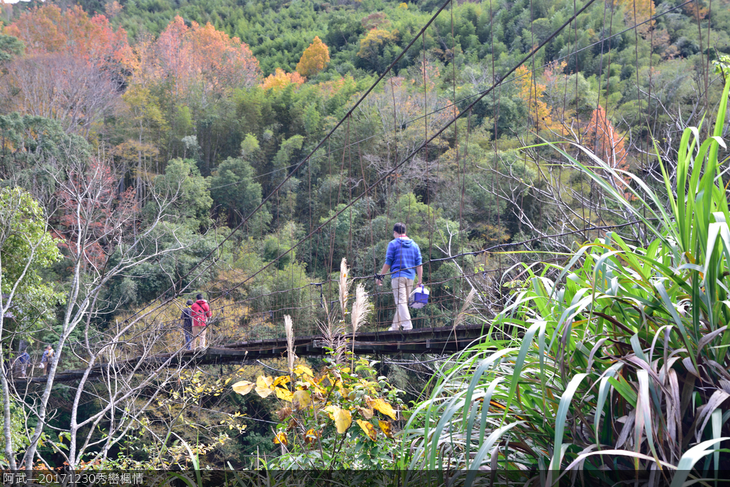 DSC_3656_843.JPG - 秀巒楓情
