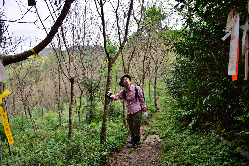 DSC_8133_3419.JPG - 2019向天湖山