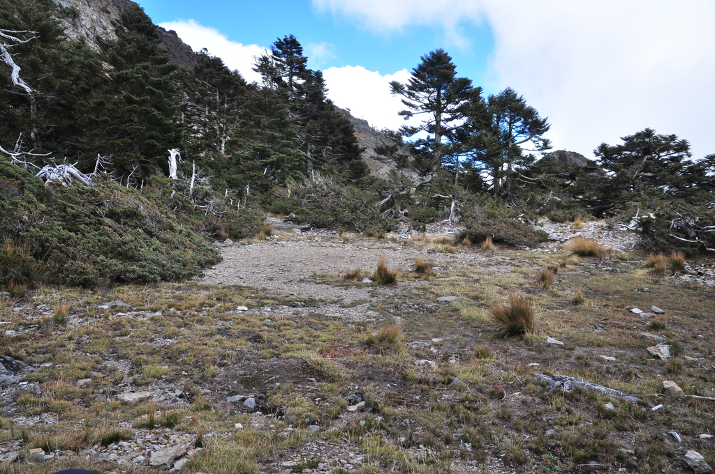 DSC_9158.JPG - 2016玉山後四峰