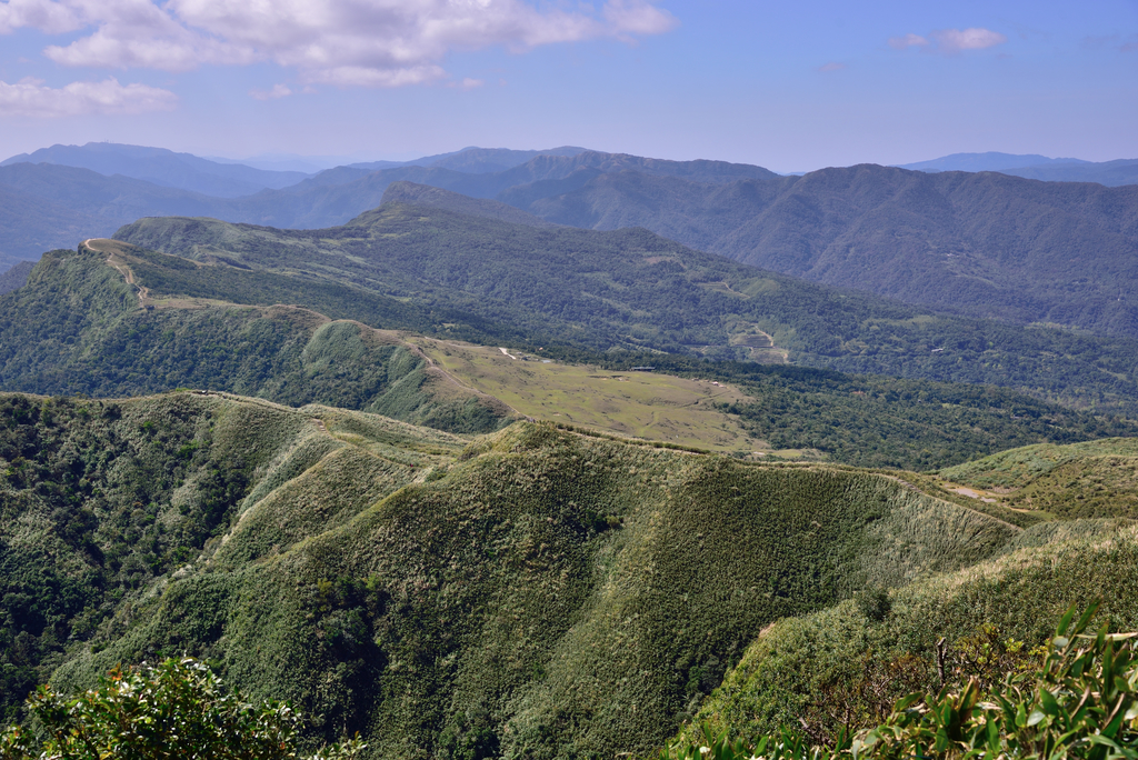 DSC_6232_8005.JPG - 20210221桃源谷