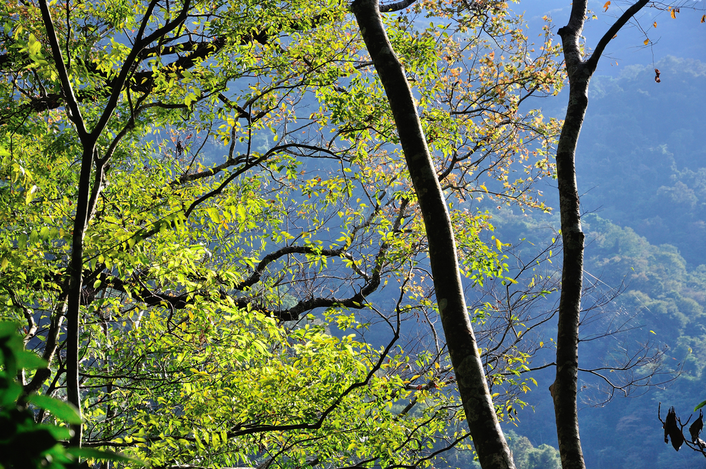 DSC_4240_170.JPG - 2017虎山