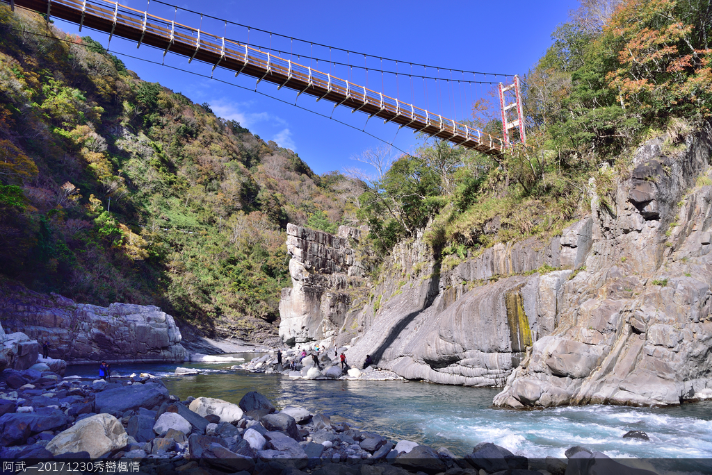 DSC_3738_884.JPG - 秀巒楓情