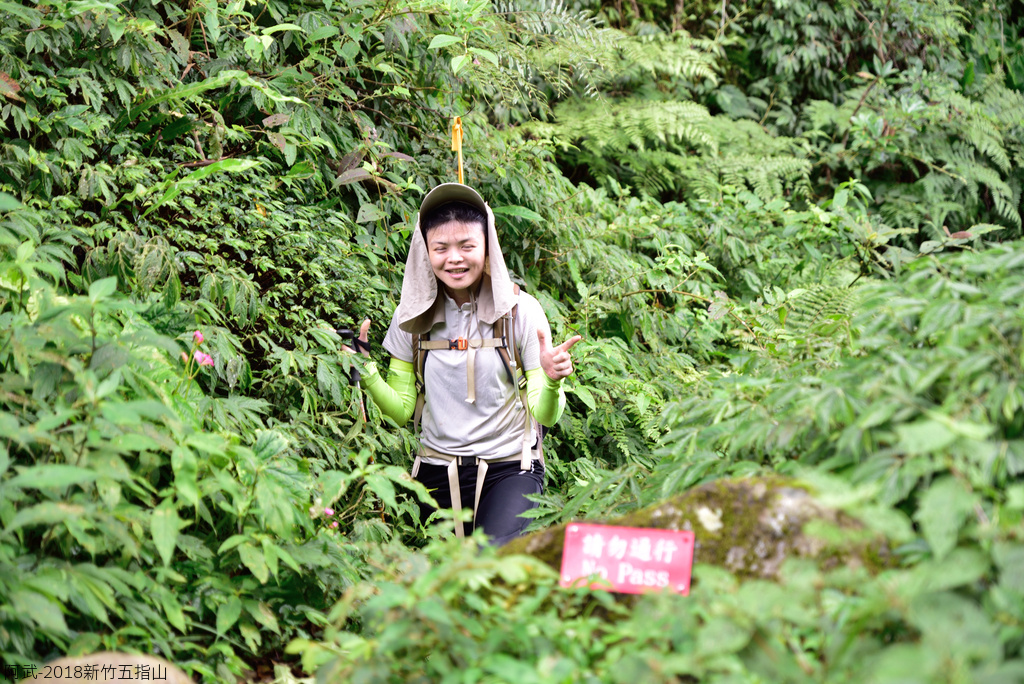 DSC_6631_2725.JPG - 2018新竹五指山