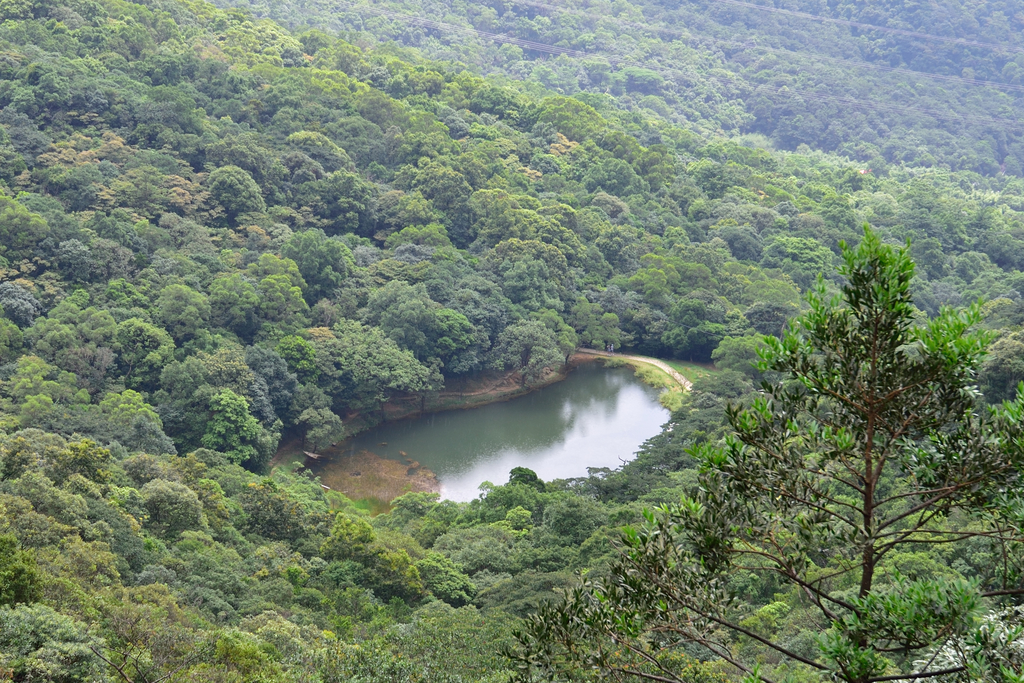 DSC_1017_4969.JPG - 2019新山夢湖