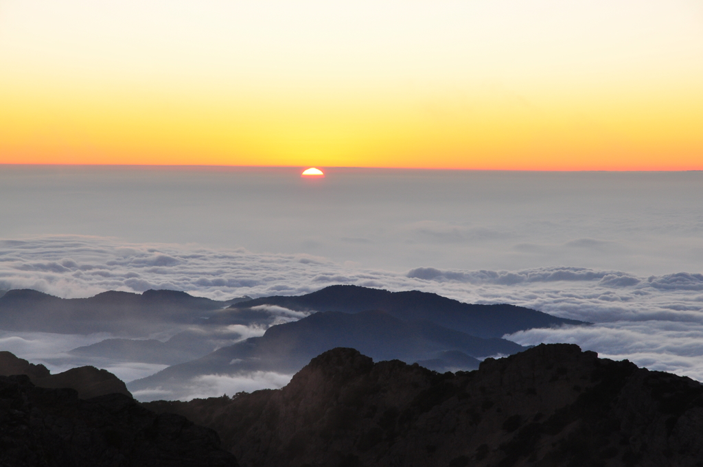 DSC_9220.JPG - 2016玉山後四峰