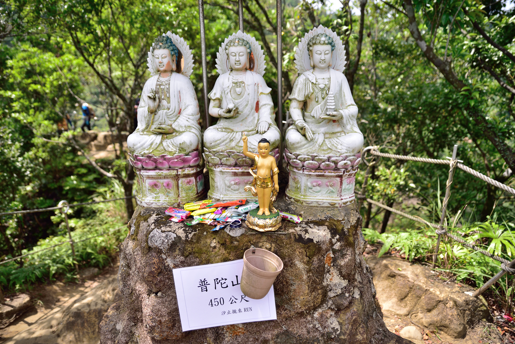 DSC_6113_2372.JPG - 2018平溪孝子山