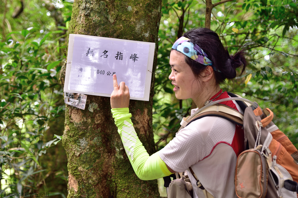 DSC_6647_2735.JPG - 2018新竹五指山