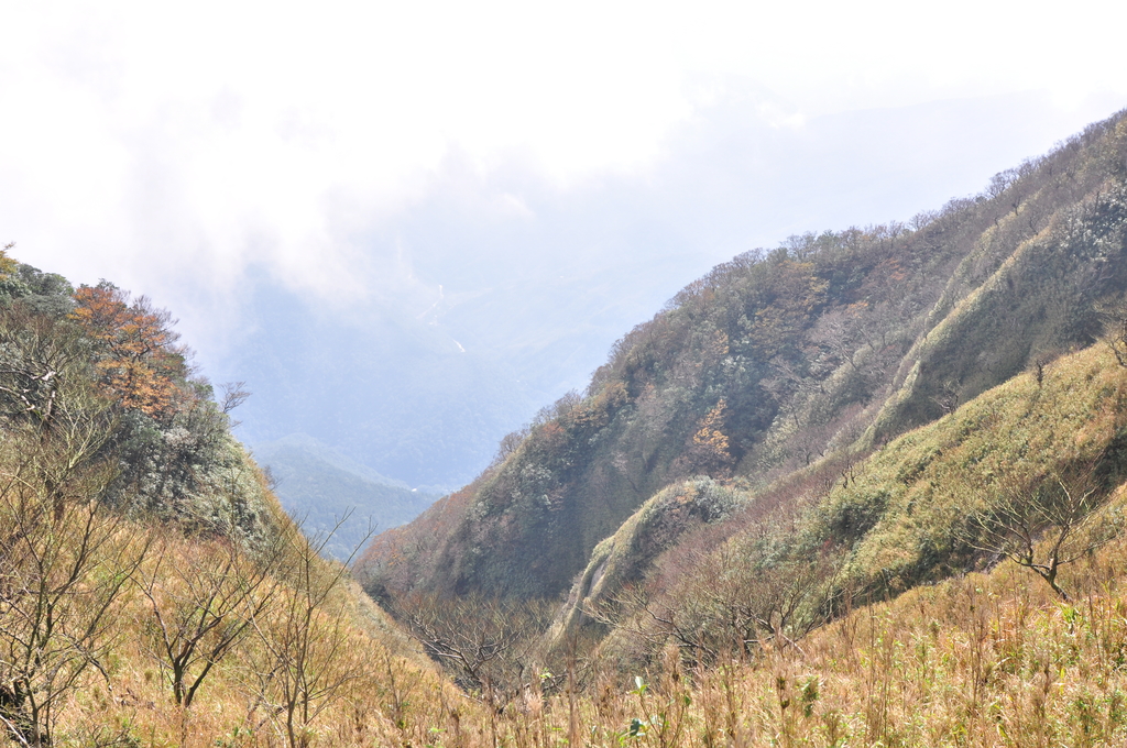 image.jpeg - 21051107卡保逐鹿賞山毛櫸