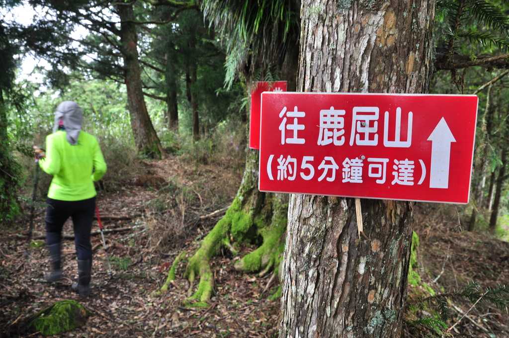 DSC_3358.JPG - 2017水漾森林