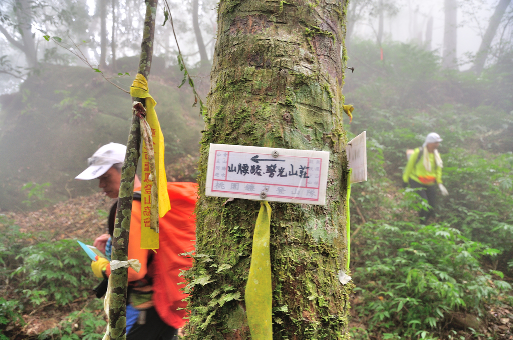 DSC_4198_129.JPG - 2017虎山