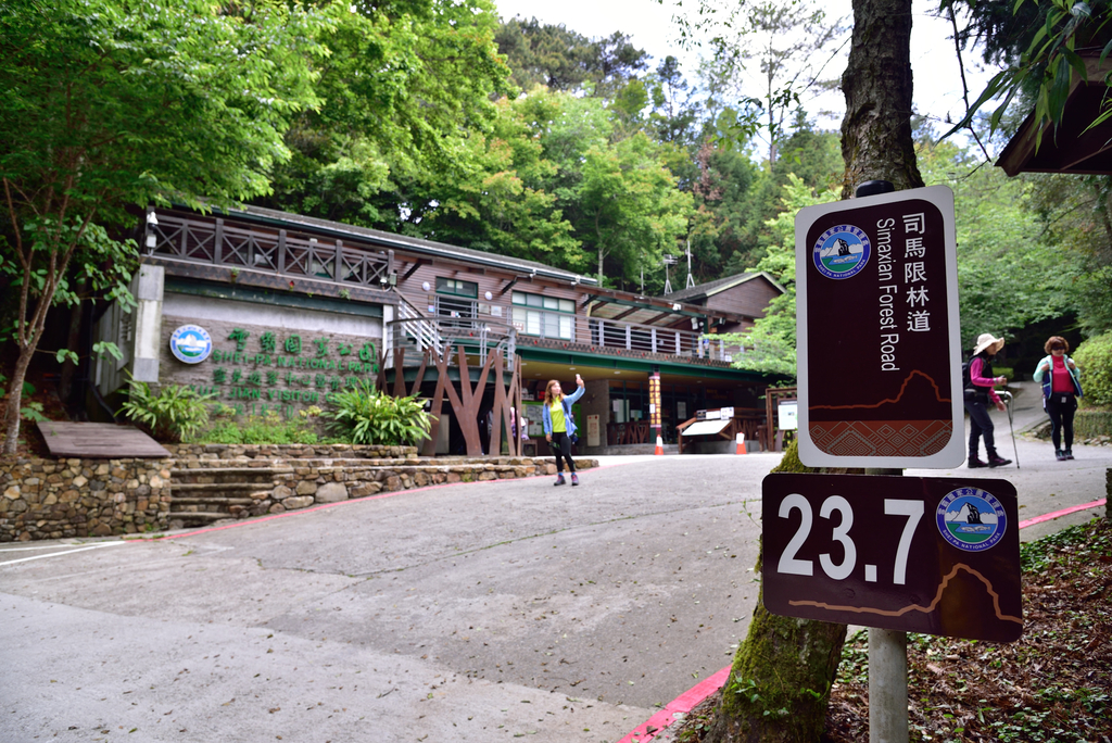 DSC_3344_6278.JPG - 0501北坑山大板根