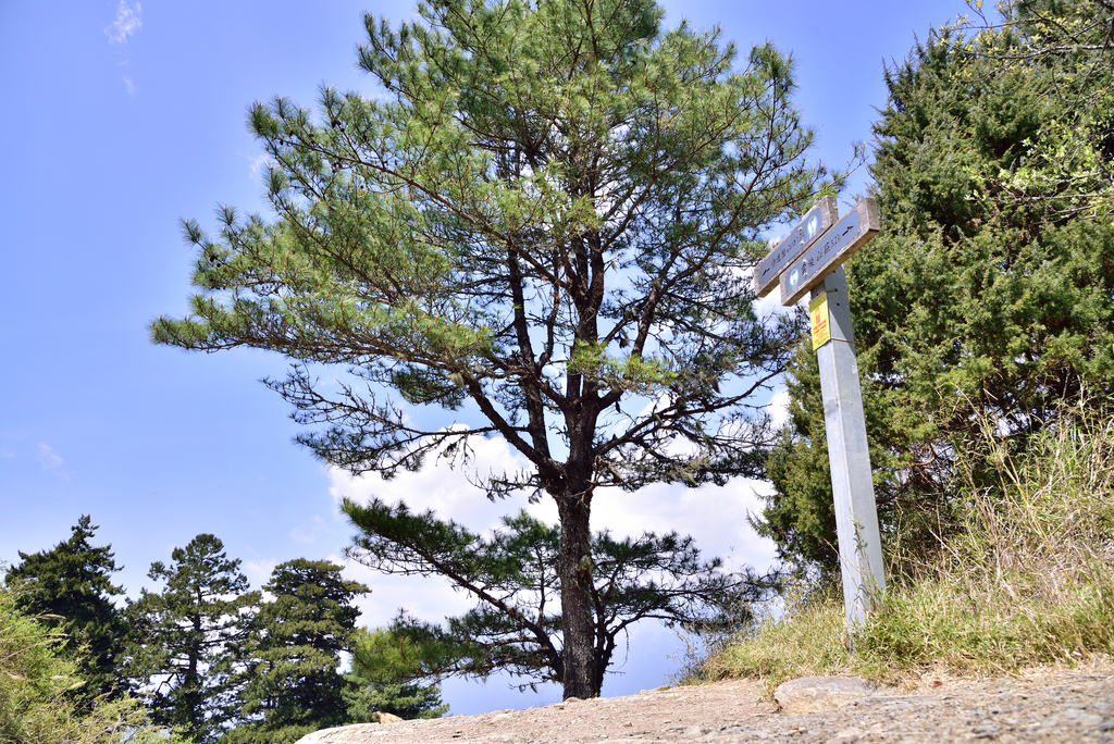 DSC_9872_4391.JPG - 南湖D5