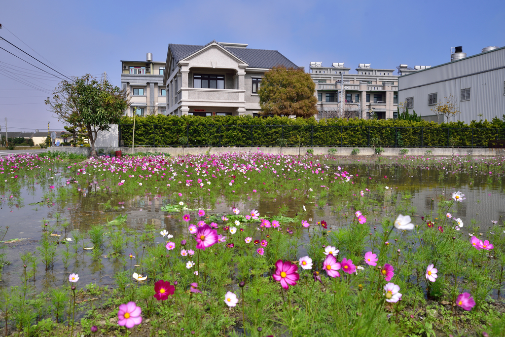 DSC_5917_7861.JPG - 109媽媽復健