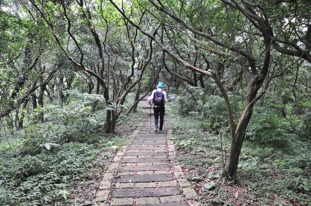 DSC_2913.JPG - 2017青山瀑布健行順遊富貴角燈塔