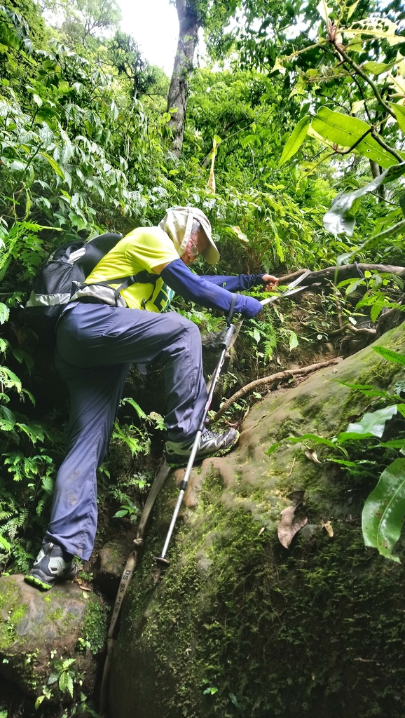 180623五指山_180624_0135.jpg - 2018新竹五指山