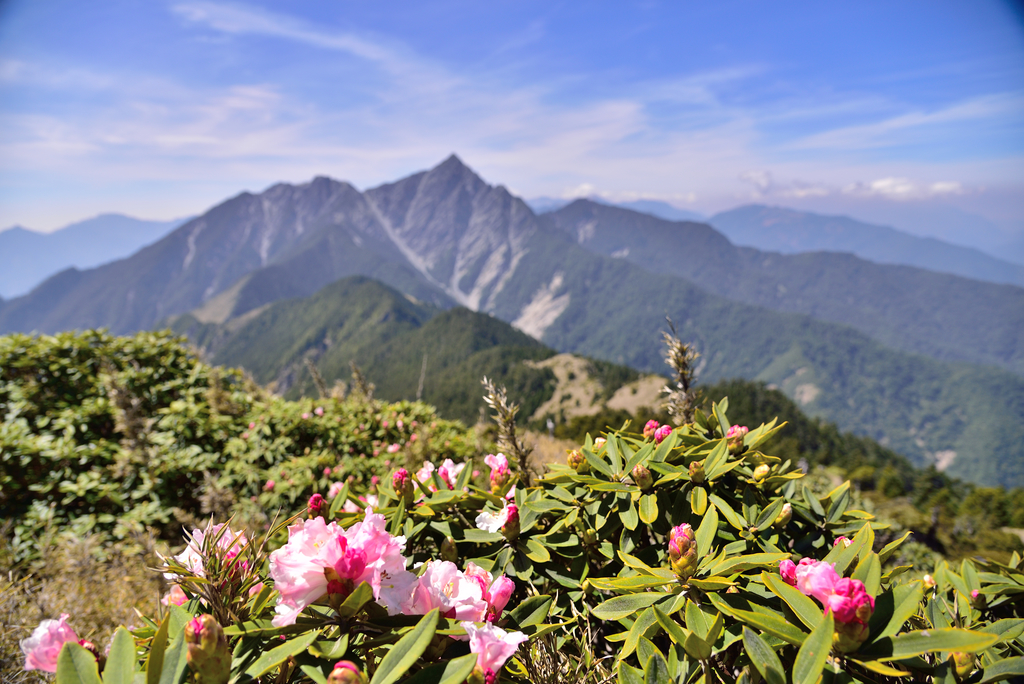 接近天堂－2019南湖群峰悠遊行(下)