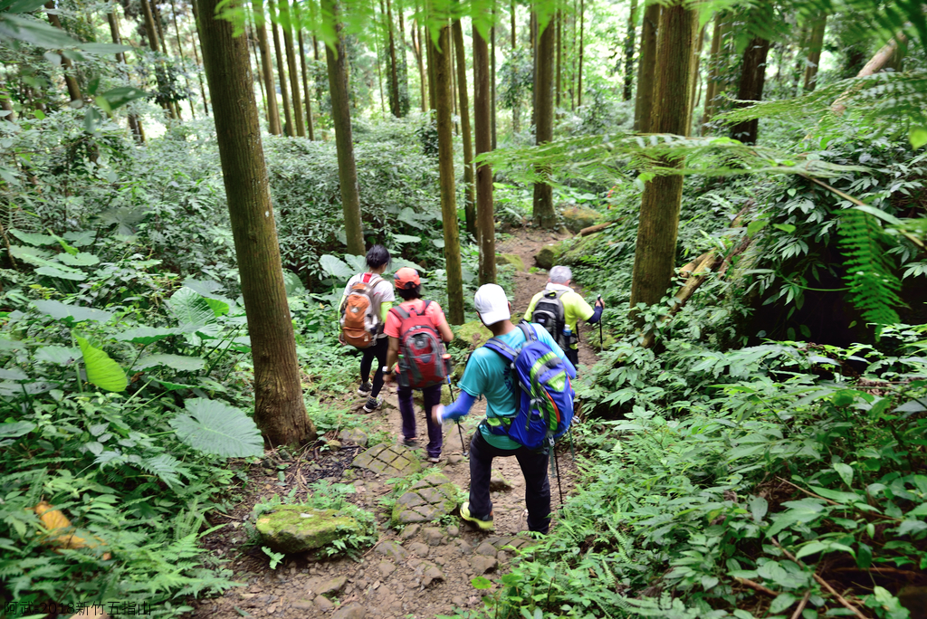 DSC_6708_2772.JPG - 2018新竹五指山