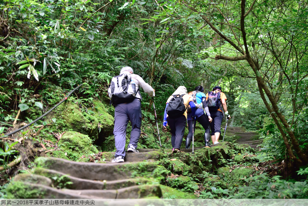 DSC_5864_2215.JPG - 2018平溪孝子山