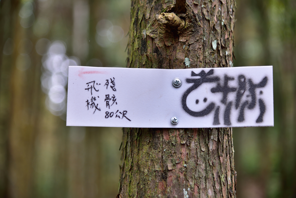 DSC_8034_3379.JPG - 2019向天湖山