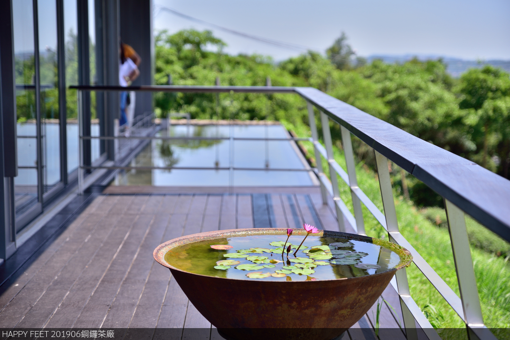 DSC_0253_4596.JPG - 0615銅鑼茶廠