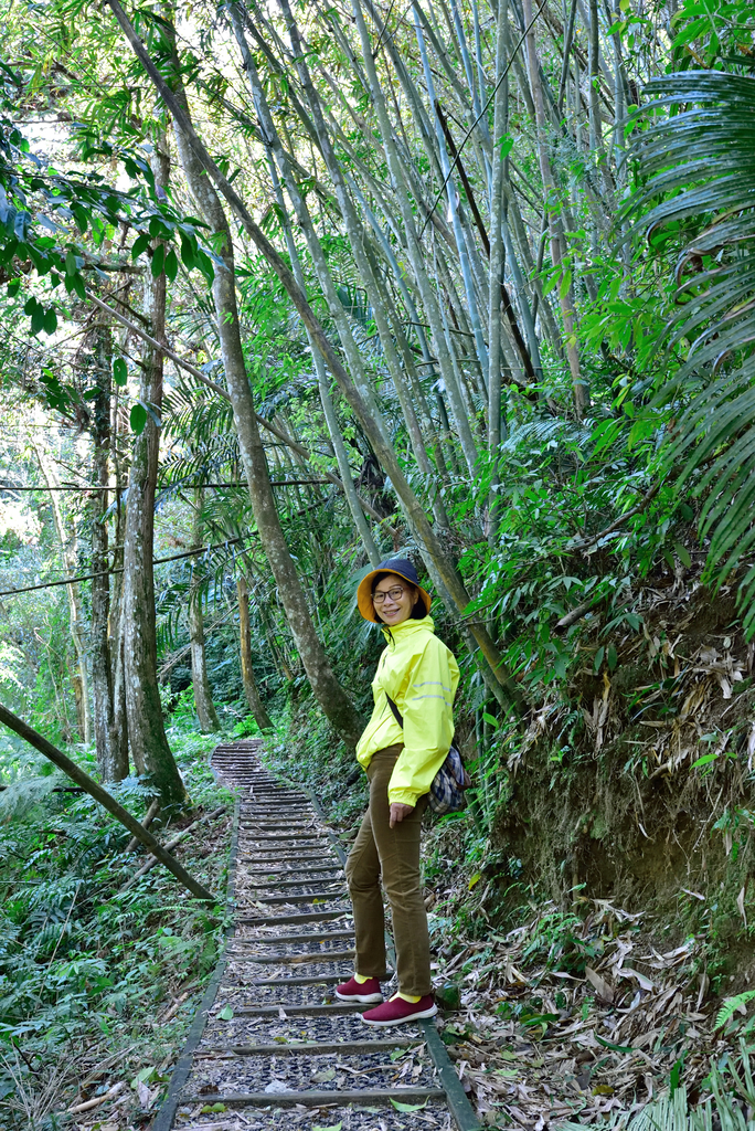 DSC_2737_6013.JPG - 0315三民蝙蝠洞登金平山