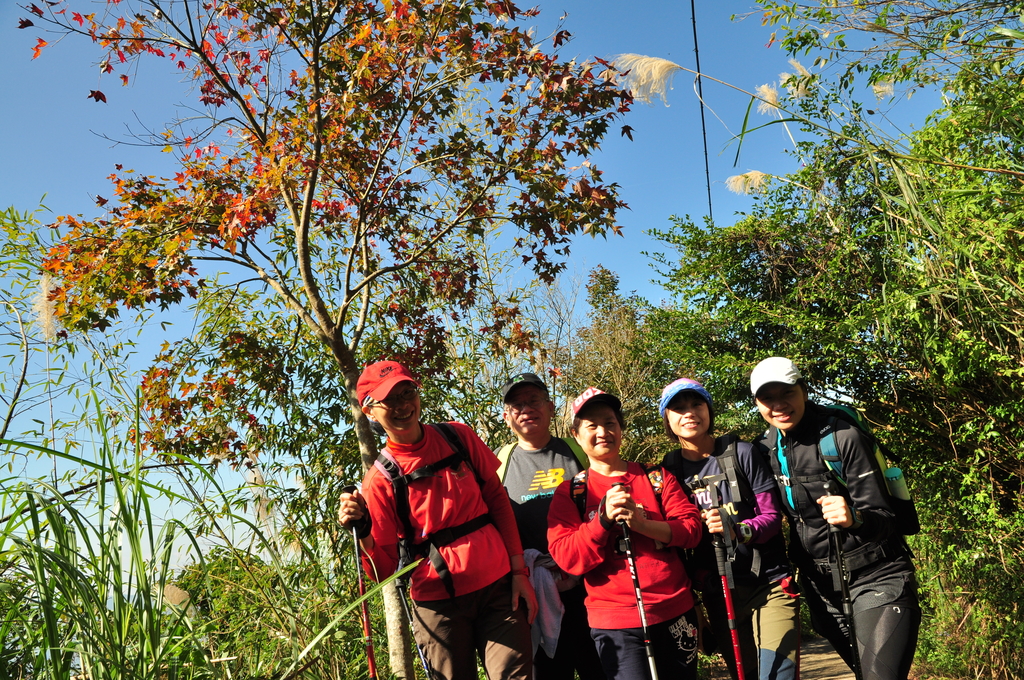 DSC_6793.JPG - 2015馬拉邦山