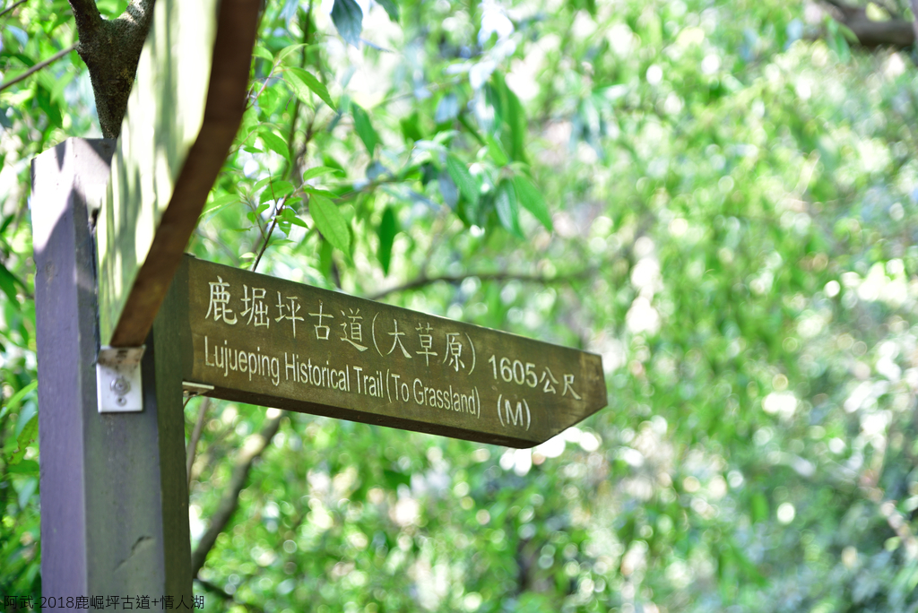 DSC_5317_1787.JPG - 2018鹿崛坪古道+情人湖